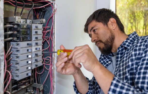 Best Electric Panel Repair  in Clyde, NC